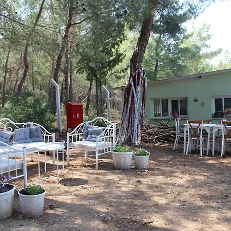 فندق مبيت وإفطار Secluded Apart Surrounded By Nature In Kusadasi